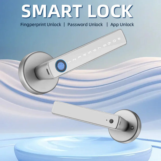XSDTS Smart Door Lock Handle With Fingerprint Key card Digital Door Lock