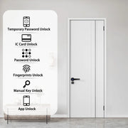 XSDTS Smart Door Lock Handle With Fingerprint Key card Digital Door Lock
